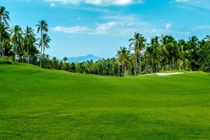 Yes - you can live by a golf course at Cana Cove!